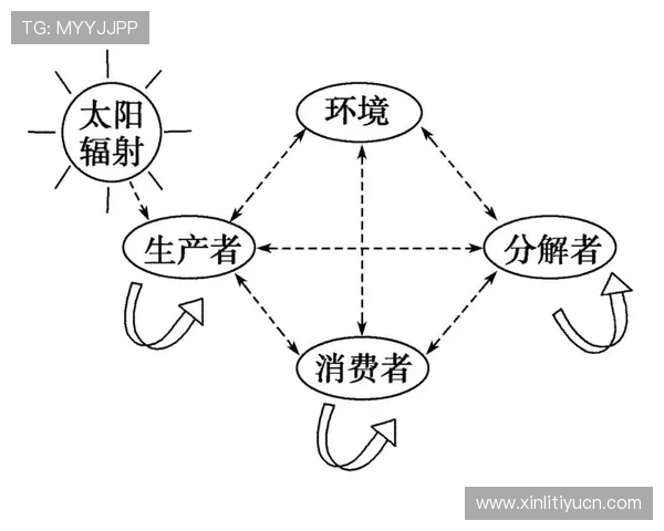 全面解析利来体育网站登录入口的安全性与稳定性保障措施，确保用户账号安全无忧